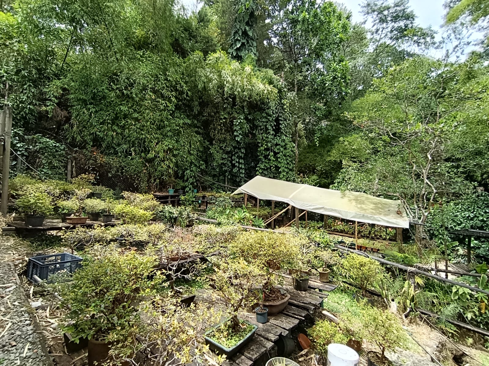Casa en arriendo en El Poblado, Medellín · foto 19 de 19