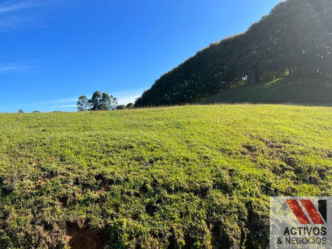 Lote en venta en Centro, Rionegro, 35614 m² · foto 15 de 24
