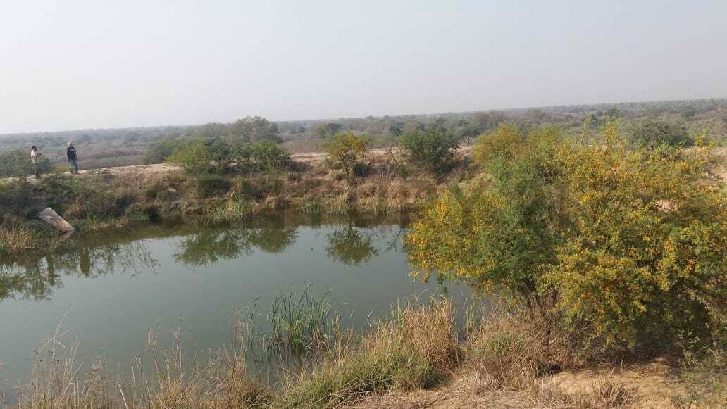 EN VENTA | Estancia Agroganadera de 8.504 Ha en General Díaz, Boquerón — foto 2