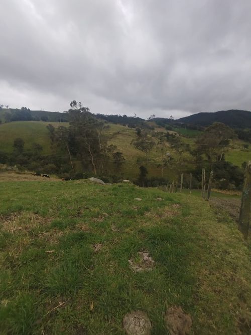Finca en venta en Paramo De Guerrero, Zipaquirá, 12800 m² · foto 22 de 24