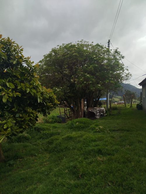Finca en venta en Paramo De Guerrero, Zipaquirá, 12800 m² · foto 7 de 24
