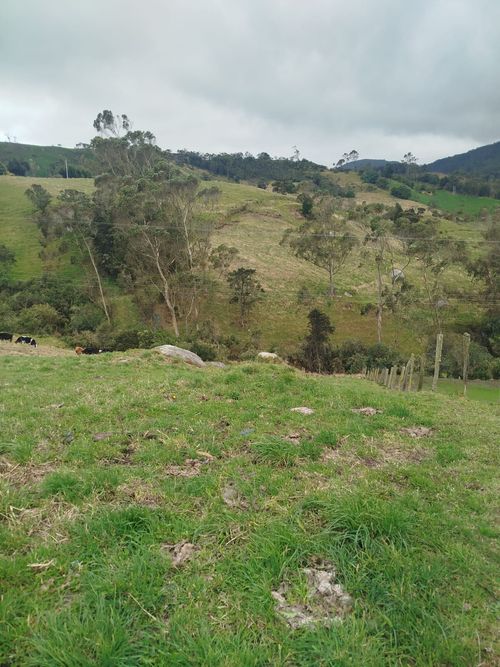 Finca en venta en Paramo De Guerrero, Zipaquirá, 12800 m² · foto 23 de 24