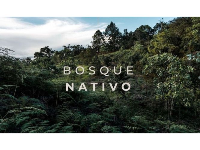 Lote en venta en Las Palmas, Envigado, 2400 m² · foto 8 de 9