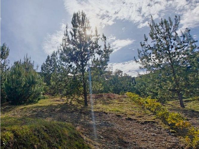Lote en venta en Las Palmas, Envigado, 2194 m² · foto 4 de 6