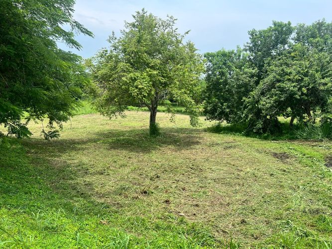 Lote en venta en Barú, Cartagena, 1224 m² · foto 7 de 7