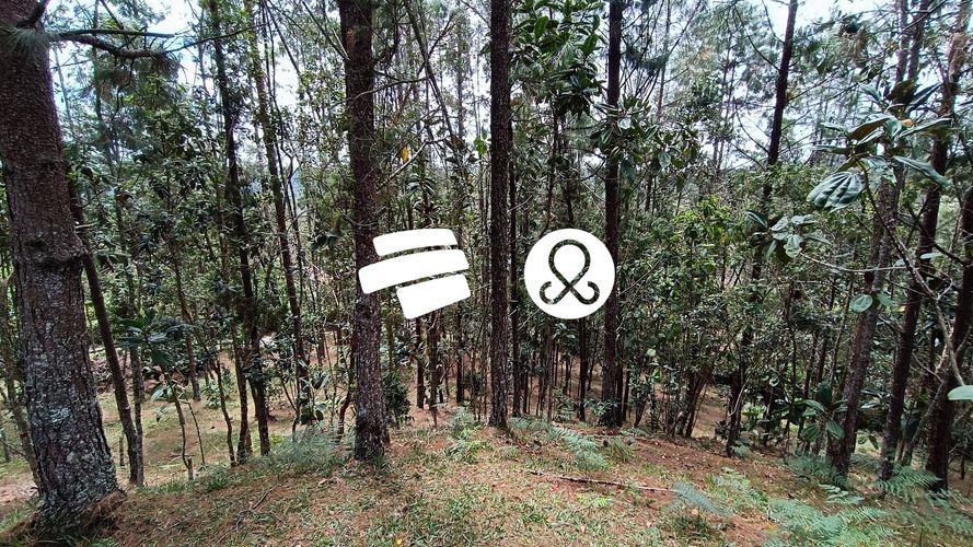 Finca en venta en Barro Blanco, Medellín, 8300 m² · foto 3 de 21