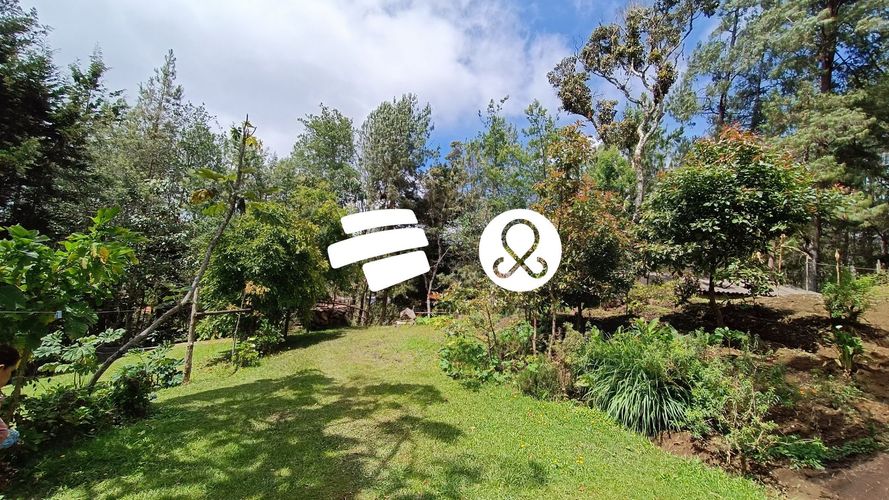 Finca en venta en Barro Blanco, Medellín, 8300 m² · foto 15 de 21