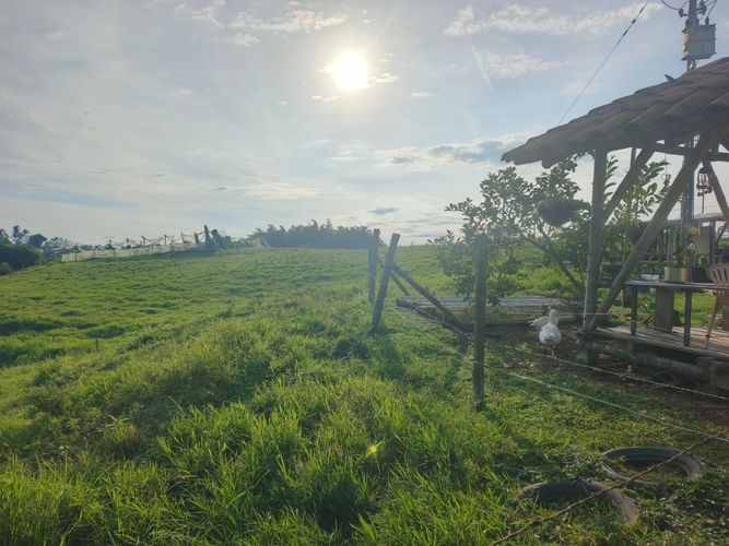 Finca en venta en Condina, Pereira · foto 4 de 23