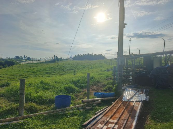 Finca en venta en Condina, Pereira · foto 5 de 23