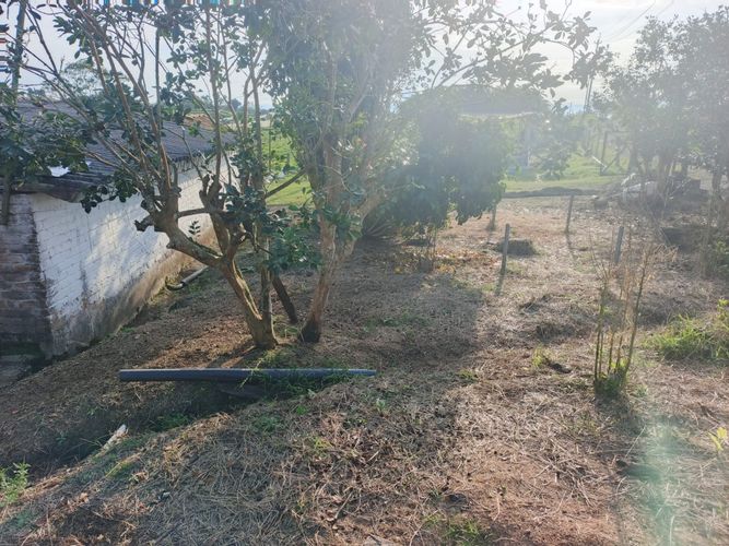 Finca en venta en Condina, Pereira · foto 7 de 23
