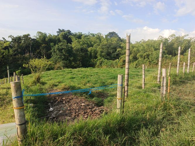 Finca en venta en Condina, Pereira · foto 8 de 23