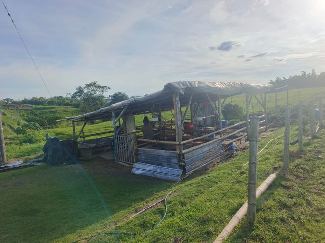 Finca en venta en Condina, Pereira · foto 11 de 23