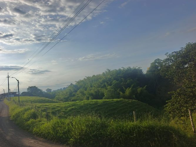 Finca en venta en Condina, Pereira · foto 12 de 23