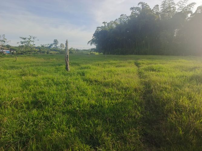 Finca en venta en Condina, Pereira · foto 14 de 23