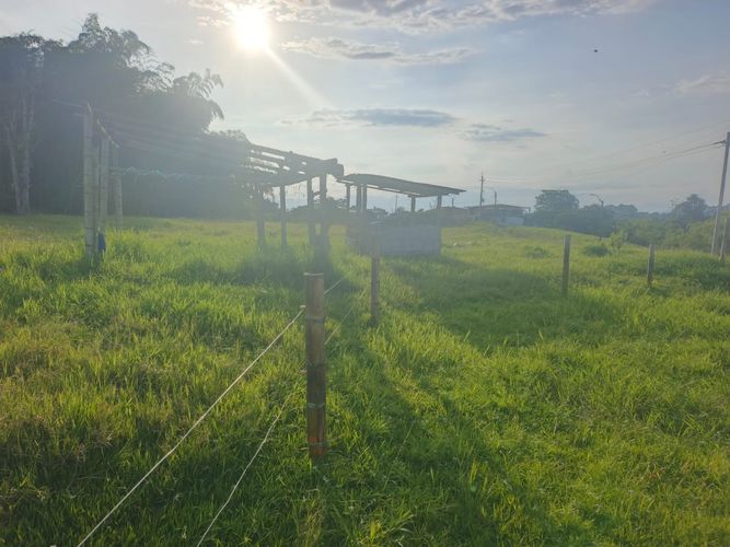 Finca en venta en Condina, Pereira · foto 15 de 23
