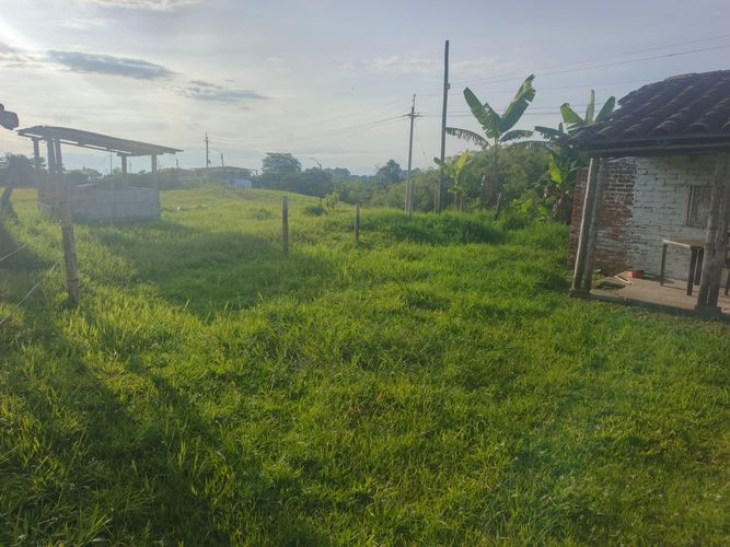Finca en venta en Condina, Pereira · foto 16 de 23