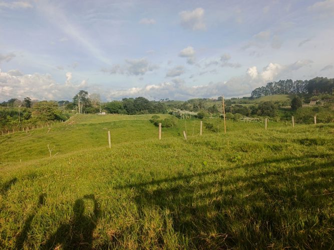 Finca en venta en Condina, Pereira · foto 17 de 23