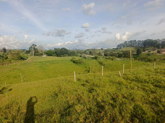 Finca en venta en Condina, Pereira · foto 18 de 23