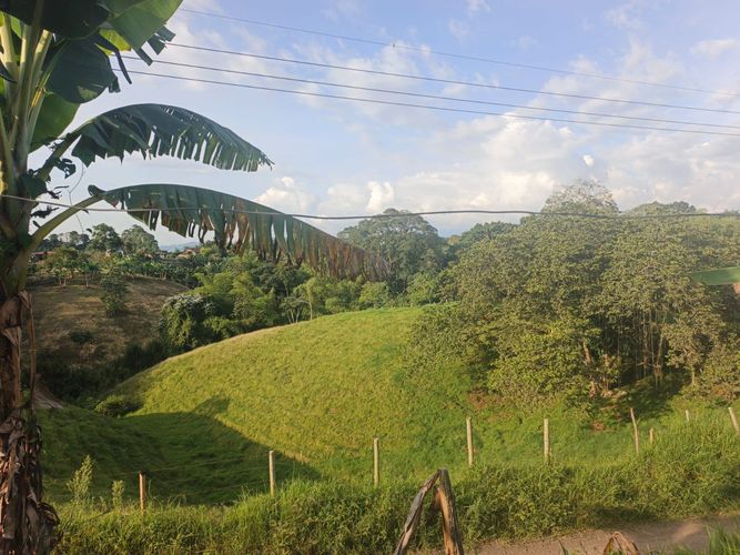 Finca en venta en Condina, Pereira · foto 19 de 23