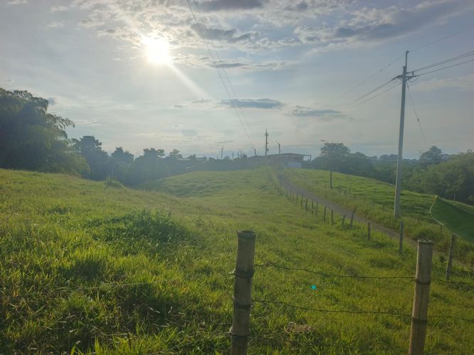 Finca en venta en Condina, Pereira · foto 20 de 23