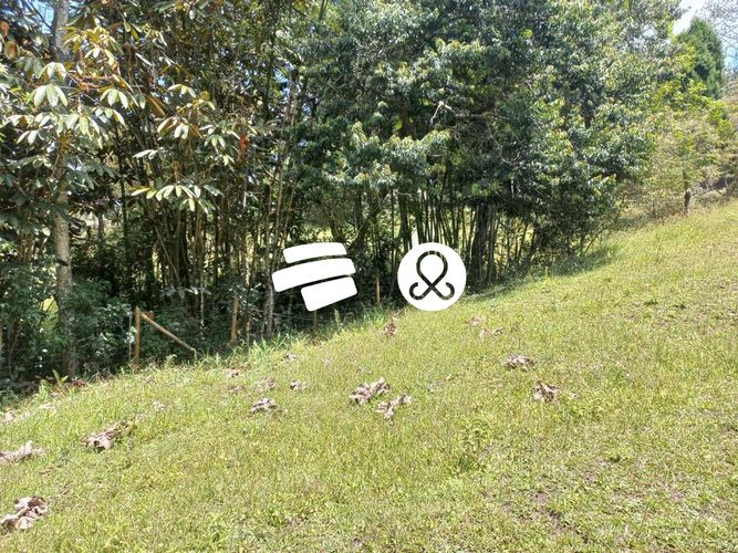 Finca en venta en Guarne, 7600 m² · foto 3 de 10