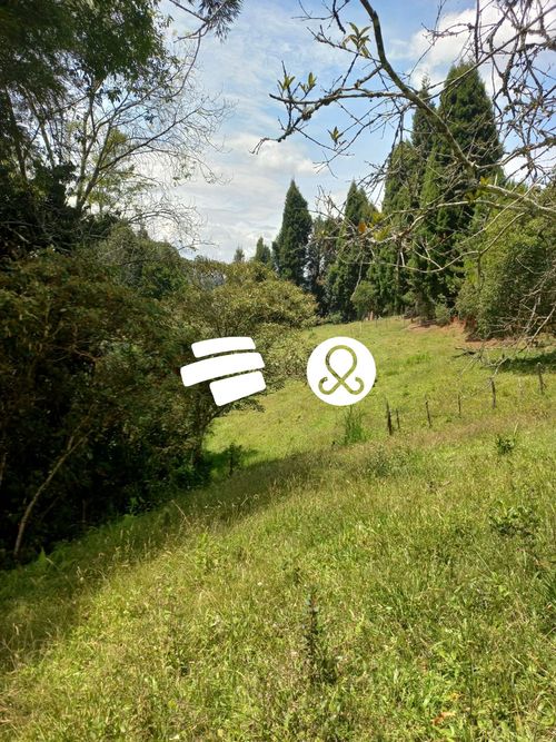 Finca en venta en Guarne, 7600 m² · foto 4 de 10