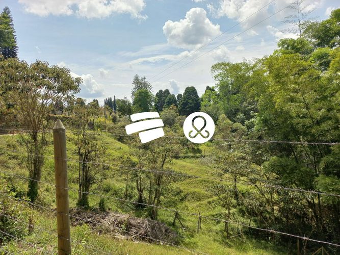Finca en venta en Guarne, 7600 m² · foto 6 de 10