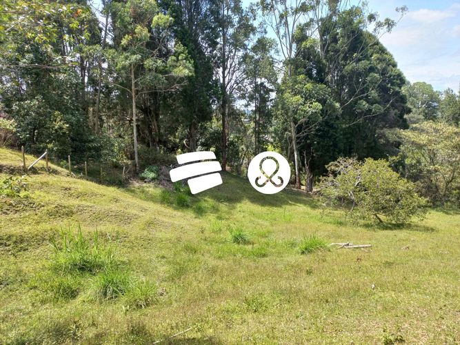 Finca en venta en Guarne, 7600 m² · foto 7 de 10