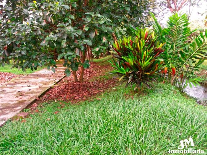 Lote en venta en Pance, Cali, 6400 m² · foto 15 de 16