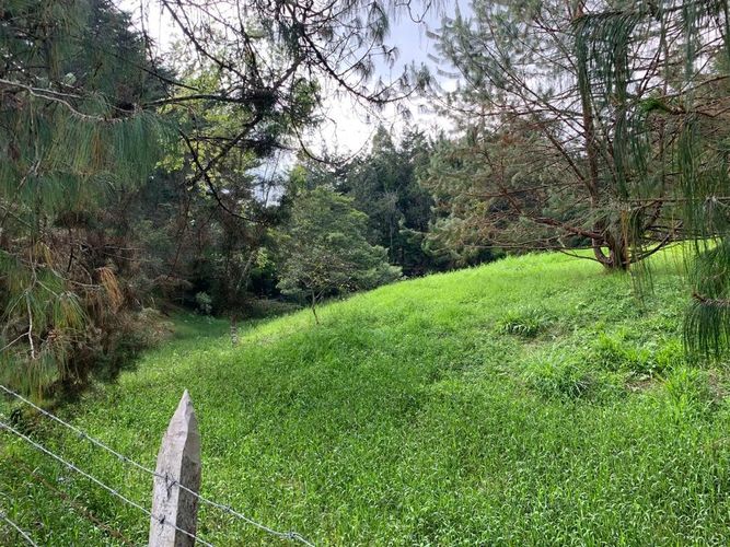Lote en venta en San Nicolas, La Ceja, 11500 m² · foto 2 de 6