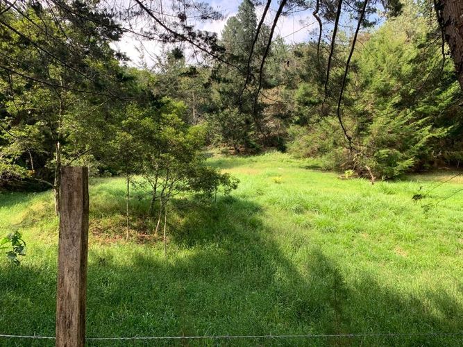 Lote en venta en San Nicolas, La Ceja, 11500 m² · foto 3 de 6