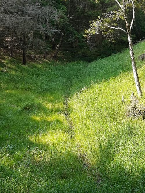 Lote en venta en San Nicolas, La Ceja, 11500 m² · foto 4 de 6