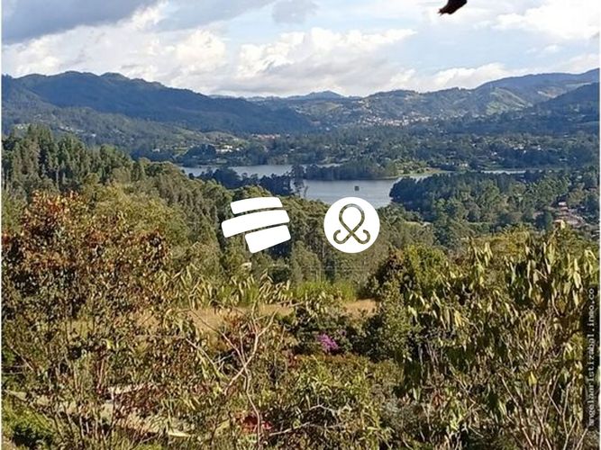 Lote en venta en Los Salados, El Retiro, 5100 m² · foto 10 de 13