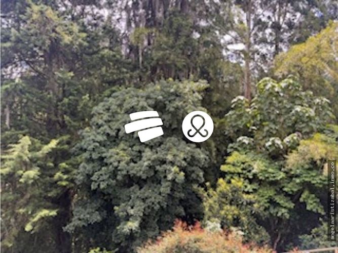 Casa de 4 alcobas en venta en Loma Del Chocho, Envigado, 338 m² · foto 2 de 16