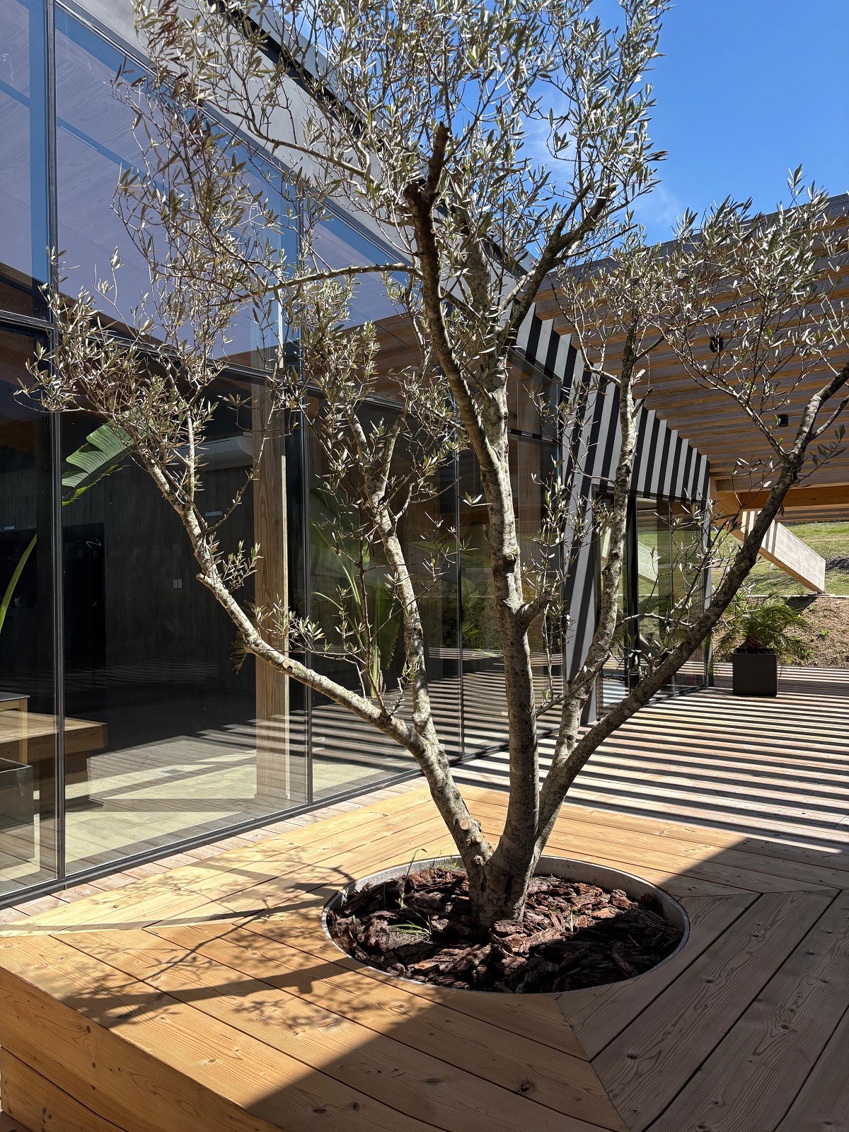 Terrenos en Olivos de los Horneros Barrio Privado - foto 5
