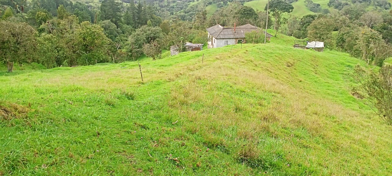 Casa en venta en Centro, La Calera · foto 9 de 16