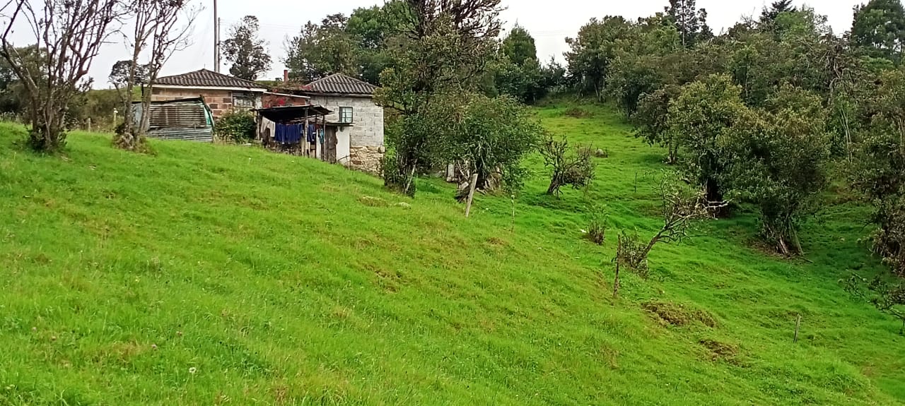 Casa en venta en Centro, La Calera · foto 13 de 16