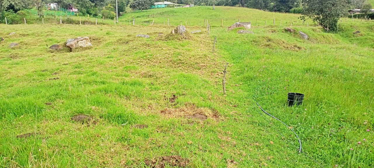 Casa en venta en Centro, La Calera · foto 14 de 16