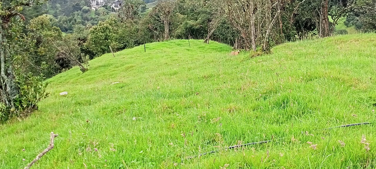 Casa en venta en Centro, La Calera · foto 16 de 16