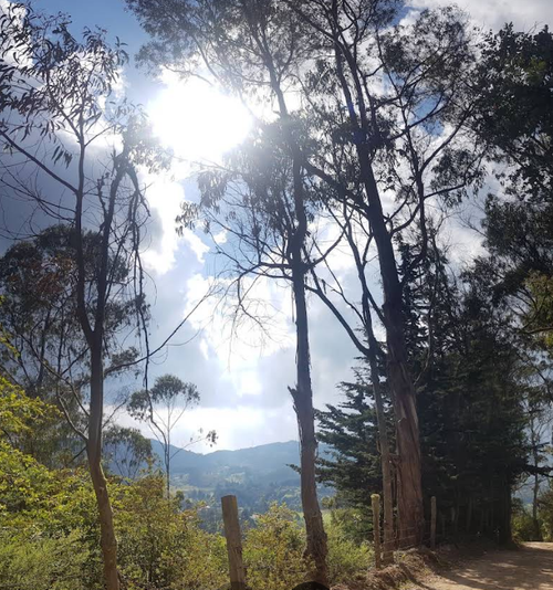Lote en venta en El Libano, La Calera, 20 m² · foto 9 de 10