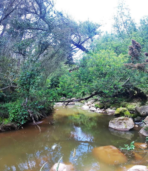 Lote en venta en El Libano, La Calera, 20 m² · foto 10 de 10