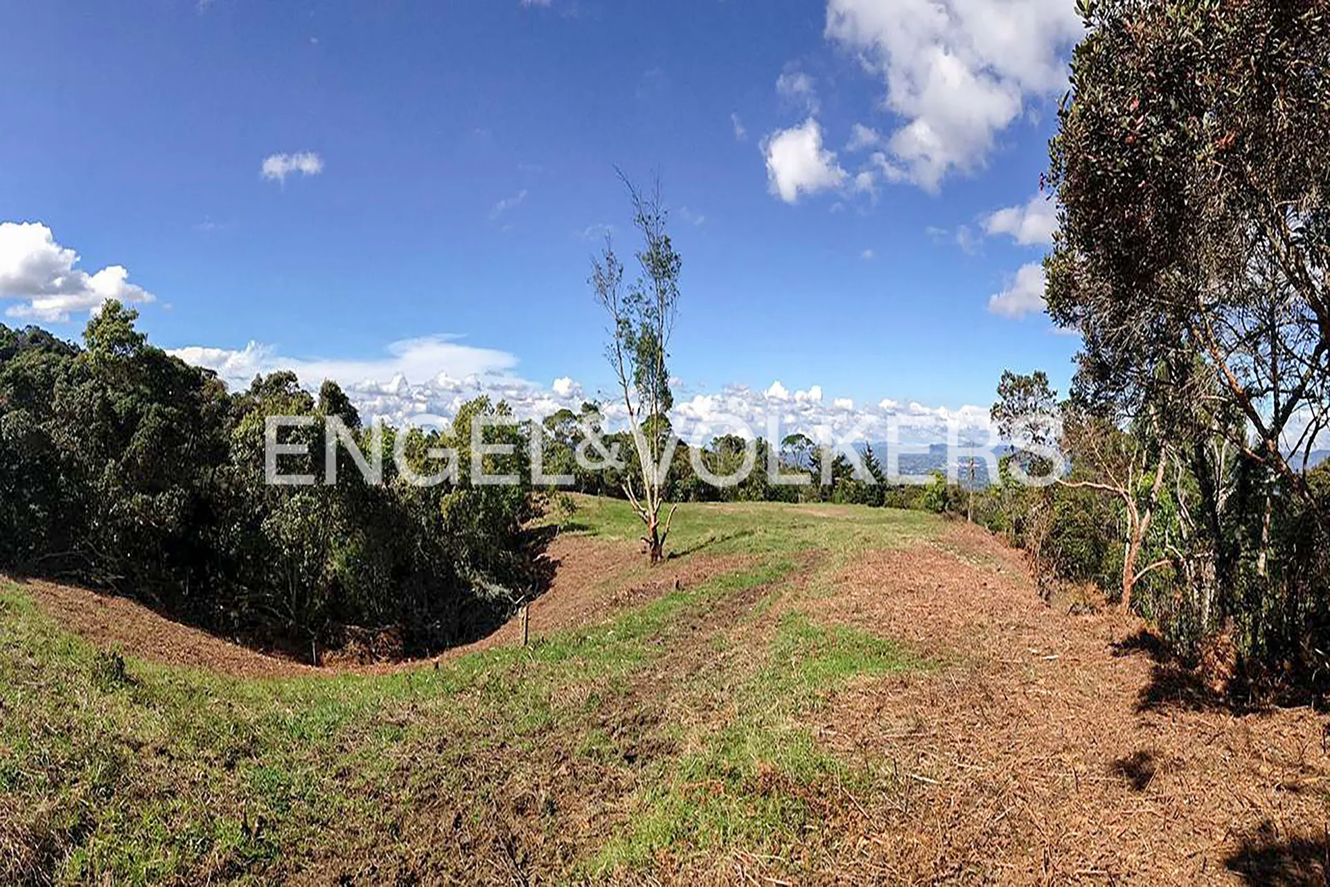 Land in Yarumal for Sale - 4