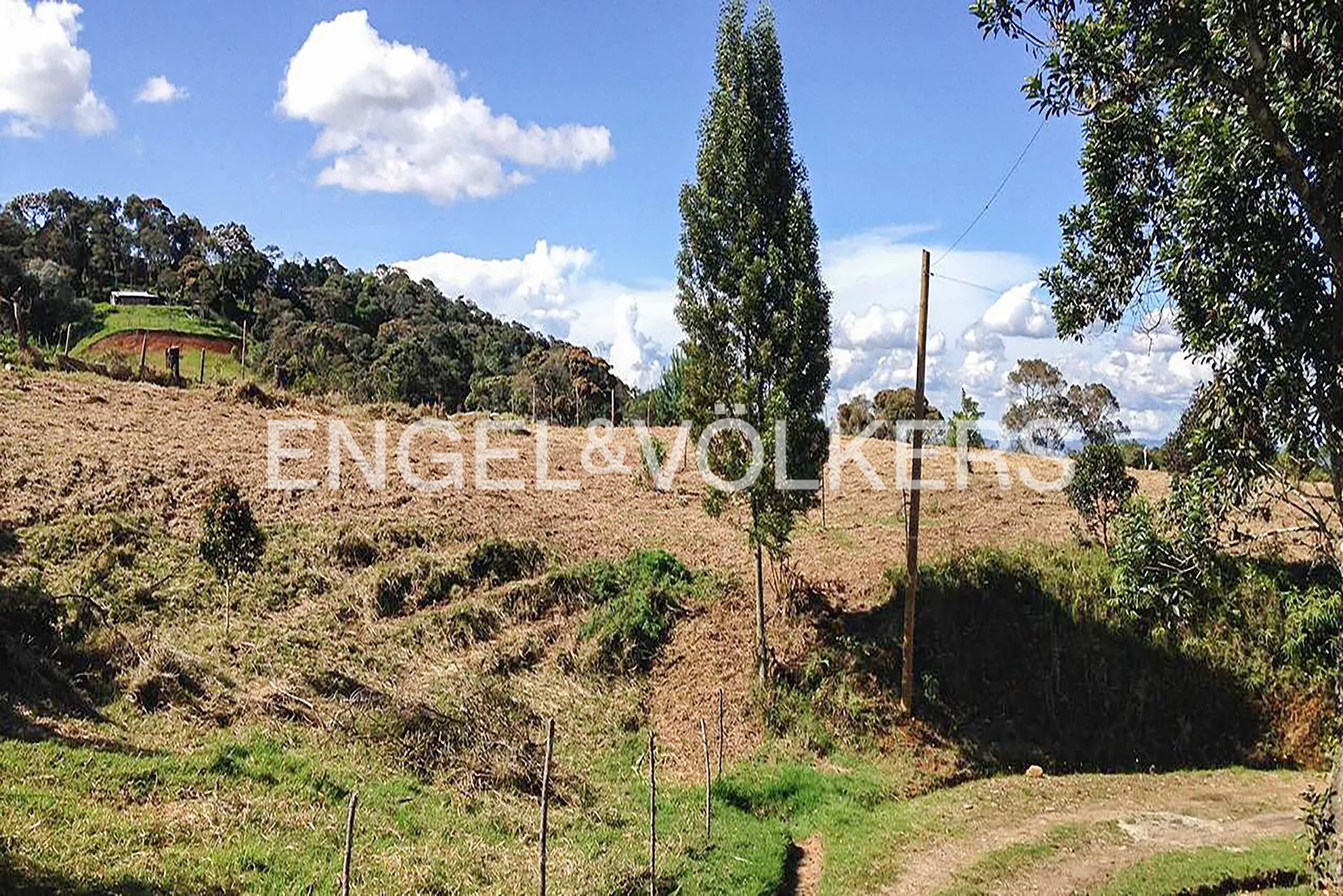 Land in Yarumal for Sale - 3