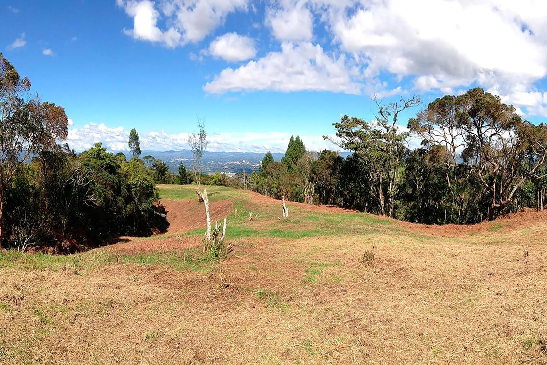 Land in Yarumal for Sale