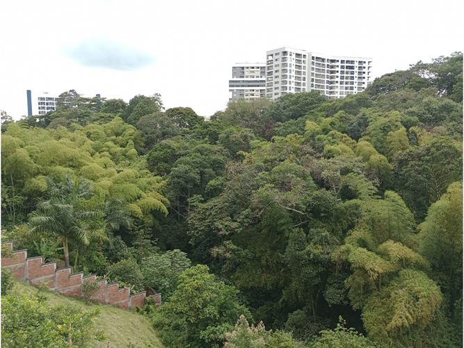 Local en venta en Salvador Allende Bajo, Armenia, 390 m² · foto 11 de 24