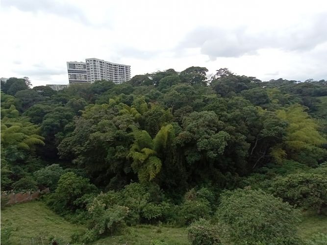 Local en venta en Salvador Allende Bajo, Armenia, 390 m² · foto 16 de 24