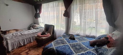 Casa en venta en Centro Usme, Bogotá · foto 9 de 20