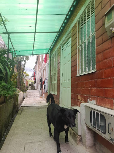 Casa en venta en Centro Usme, Bogotá · foto 10 de 20