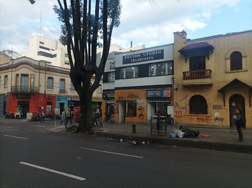 Casa en venta en Quinta Camacho, Bogotá · foto 5 de 17