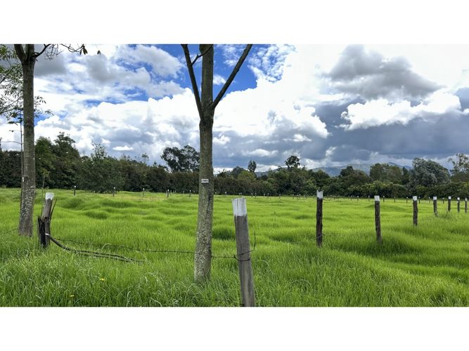 Lote en venta en Canelon, Cajicá, 2520 m² · foto 2 de 5
